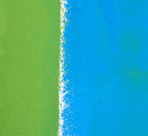 Blues and greens are considered to be some of the most relaxing colors.
