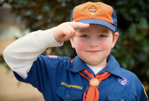 The Boy Scouts of America and other non-profit organizations can file exemption letters to be excluded from paying taxes.
