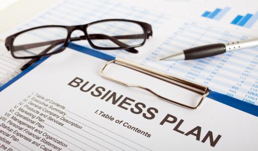 Establishing a business plan outlines the mission and purpose of a business venture.