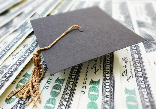Federally issued student loans are one example of government funding.