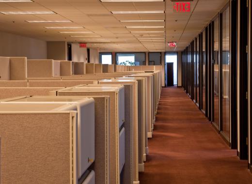 Cubicles in an office building.