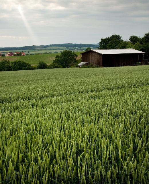 Farms are often operated based on sustainable, environmentally friendly practices.