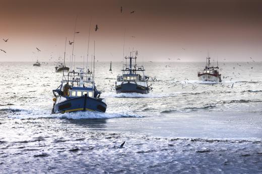 Fishing industry regulations are design to prevent overfishing and ensure long-term sustainability.
