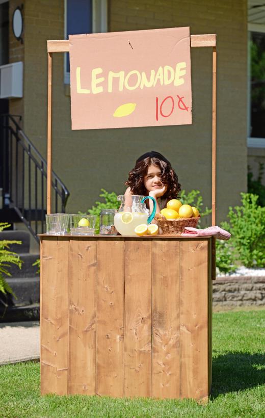 A child selling lemonade might be considered a small-scale business enterprise.