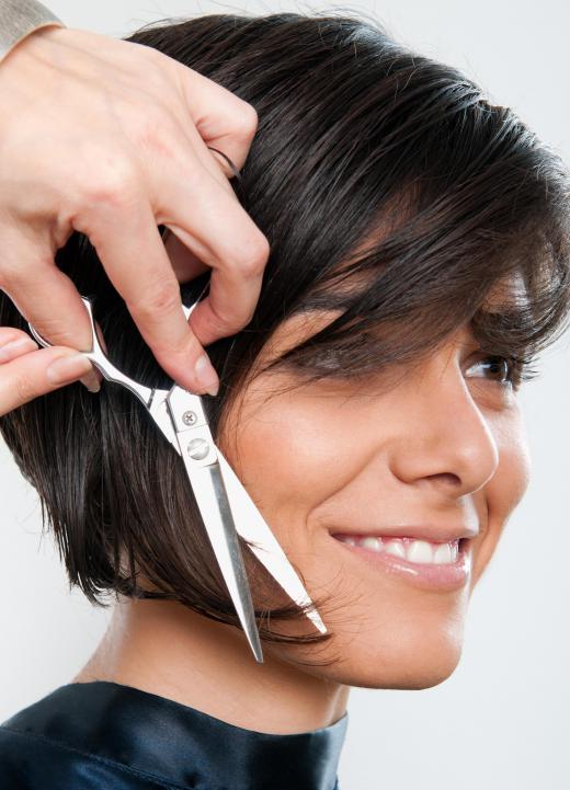 One might visit a salon for a single service such as a haircut or color.