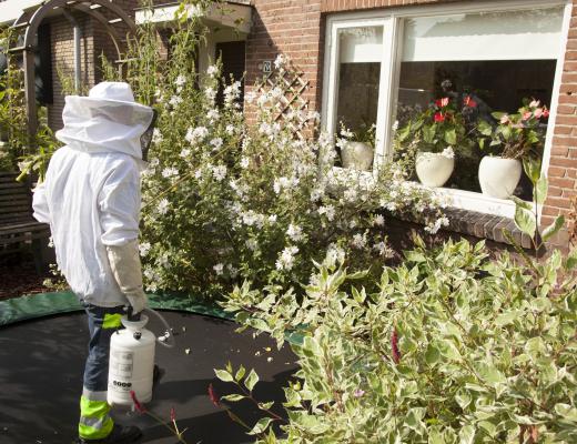 A pest control company may offer a guarantee that bugs won't enter the home following extermination.