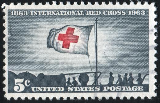 Social sector entities include international organizations, such as the Red Cross.