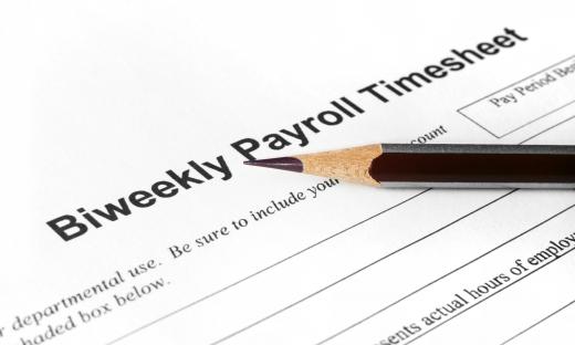 A payroll administrator handles a company's employee payroll.