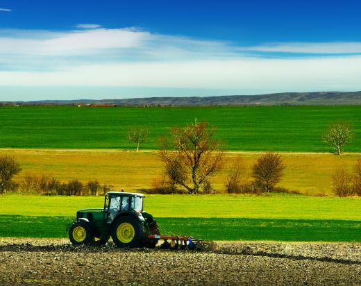 Some lenders who provide rural credit specialize in farm loans.