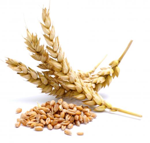 Wheat is an agricultural commodity.